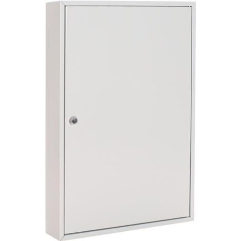 Schlüsselschrank S 100 H550xB380xT80mm 1-türig Zylinderschl.Anz.Hak.100 ROTTNER