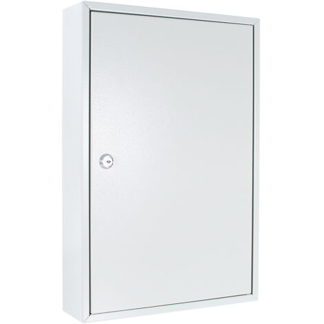 Schlüsselschrank S 64 H450xB300xT80mm 1-türig Zylinderschl.Anz.Hak.64 ROTTNER