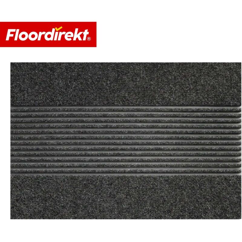 Floordirekt Schmutzfangmatte Circa Anthrazit Streifen 40 X 60 Cm