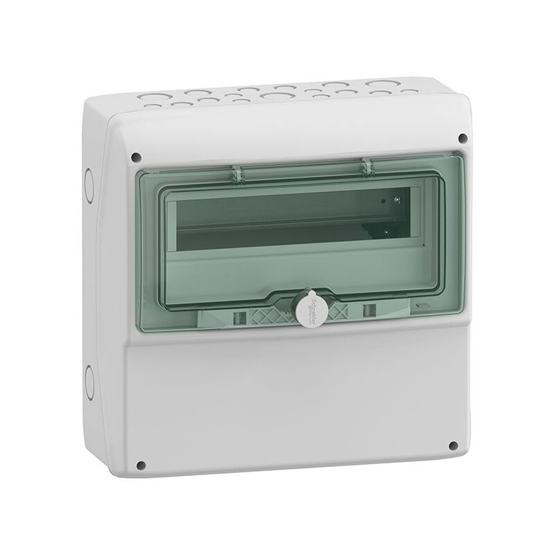 Schneider Electric - Armoire en saillie Schneider pour 12 modules 1 rangée avec porte transparente 13191 Schneider Cofret Kaedra