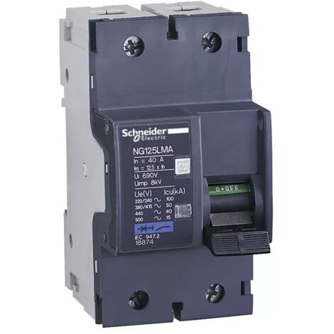 Schneider 18875 Motorschutzschalter NG125LMA 63A 2P 2D
