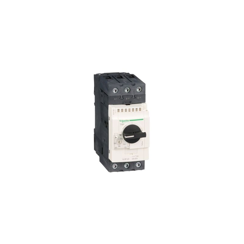 

Disyunt Magnetoterm 48...65A Schneider Electric Gv3P65