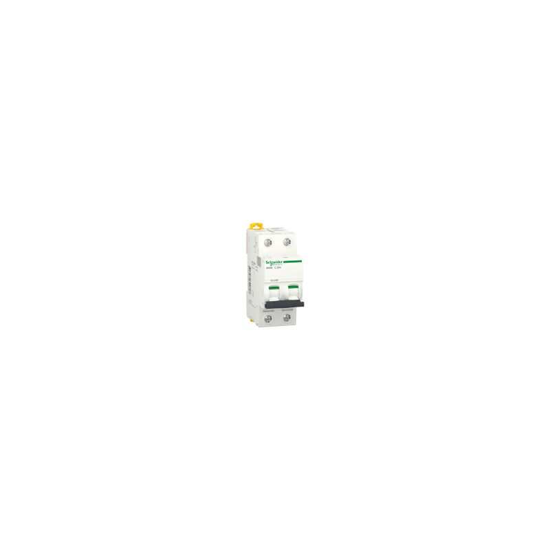 Schneider Electric - iK60N 2P 25A c - A9K17225 Schneider Electric - iK60N 2P 25A c - A9K17225