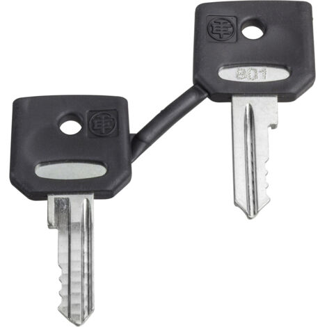 Schneider Electric Ersatzschlüssel f. Schluesselschalter 8D1