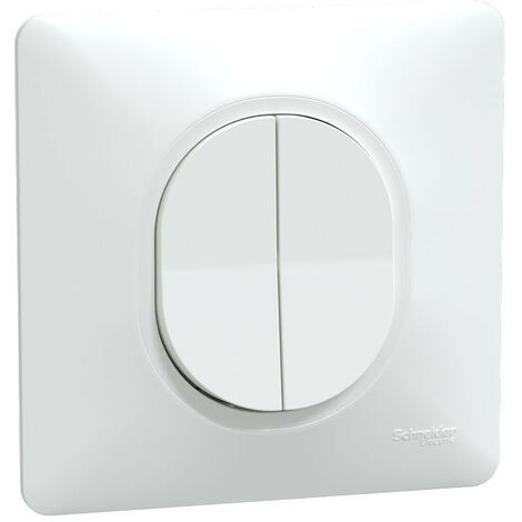 Schneider Electric – Interrupteur double va-et-vient 10AX S321214 – Blanc – Griffes montées – Tension 250V CA – Indice de protection IP21