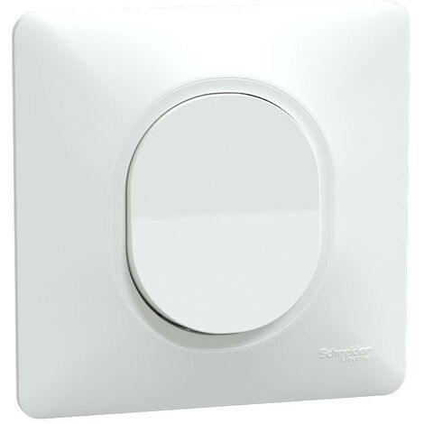 Schneider Electric – Interrupteur va et vient 10AX S321204 – Blanc avec plaque – Griffes montées – Tension 250V CA – Indice IP21