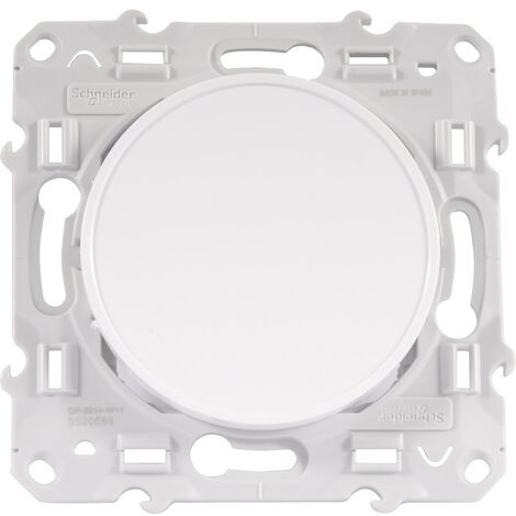 Schneider Electric – Obturateur mural blanc RAL 9003 brillant – Montage encastré – Indice de protection IP21 – Résistance aux chocs IK04 – S520666