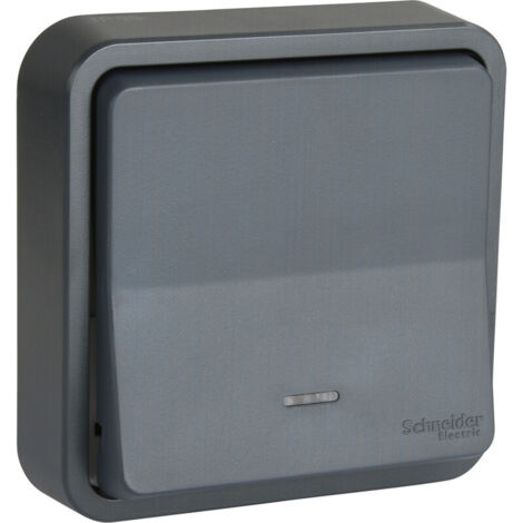 SCHNEIDER ELECTRIC Poussoir lumineux étanche complet Mureva Styl, SCHNEIDER ELECTRIC, anthracite