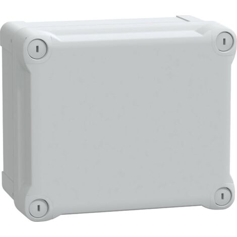 Schneider Electric Thalassa TBS Gris Blanc Boîtier Industriel