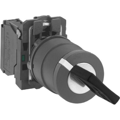 Schneider Electric XB5AG21 XB5AG21 Interruttore a chiave 1 pz.