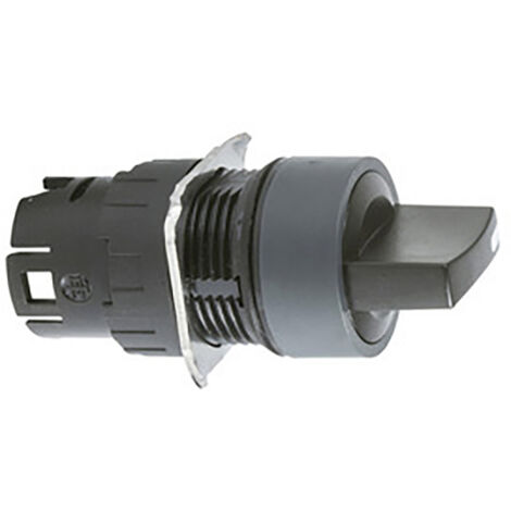 Schneider Electric ZB6AD27  Wahlschalter-Frontelement      1 St.