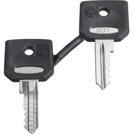 Schneider Electric ZBD8D1 ZBD8D1 Chiavi di ricambio 1 pz.