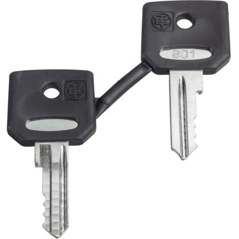 Schneider Electric ZBD8D1 ZBD8D1 Ersatzschlüssel     1 St.
