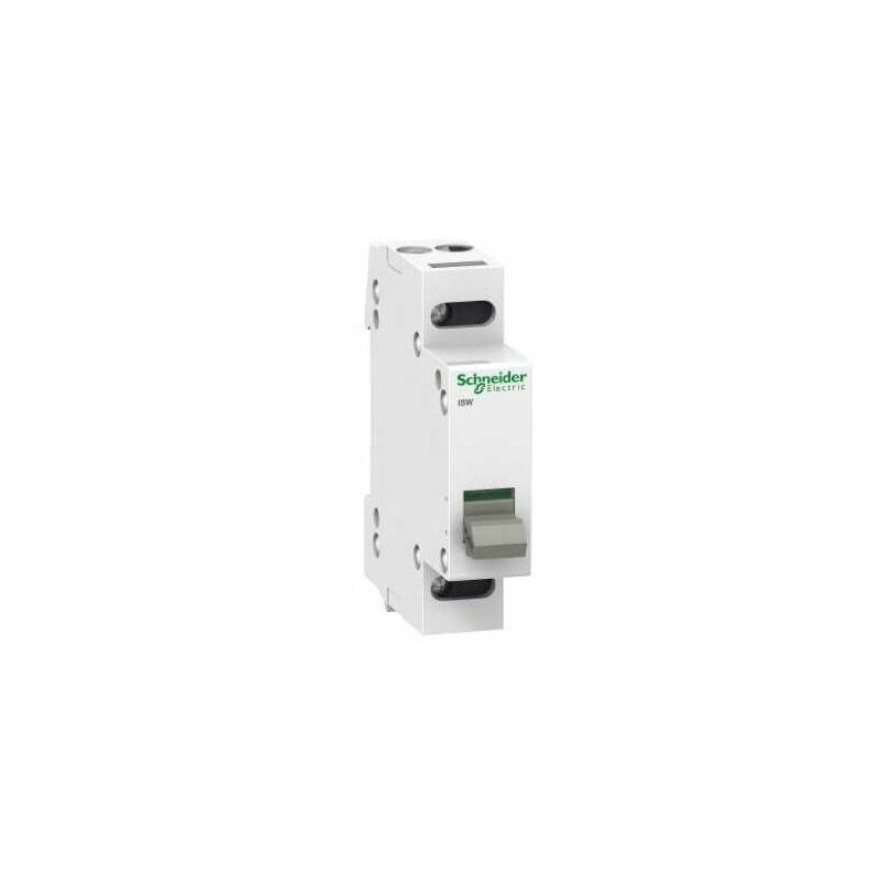 

Interruptor Schneider Electric A9S60120 1P 20A 250V