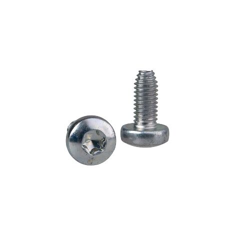Schneider NSYST30M6S Tornillo (x100) torx autotar T30 (M6X14)
