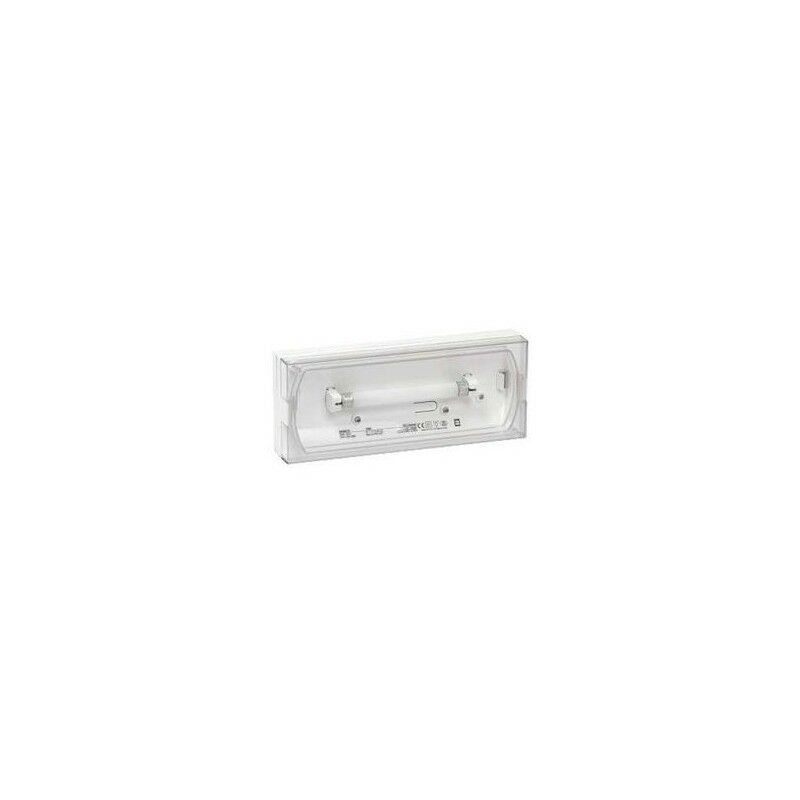 Image of Schneider - OVA58910 Baes sati ip42 evacuation block