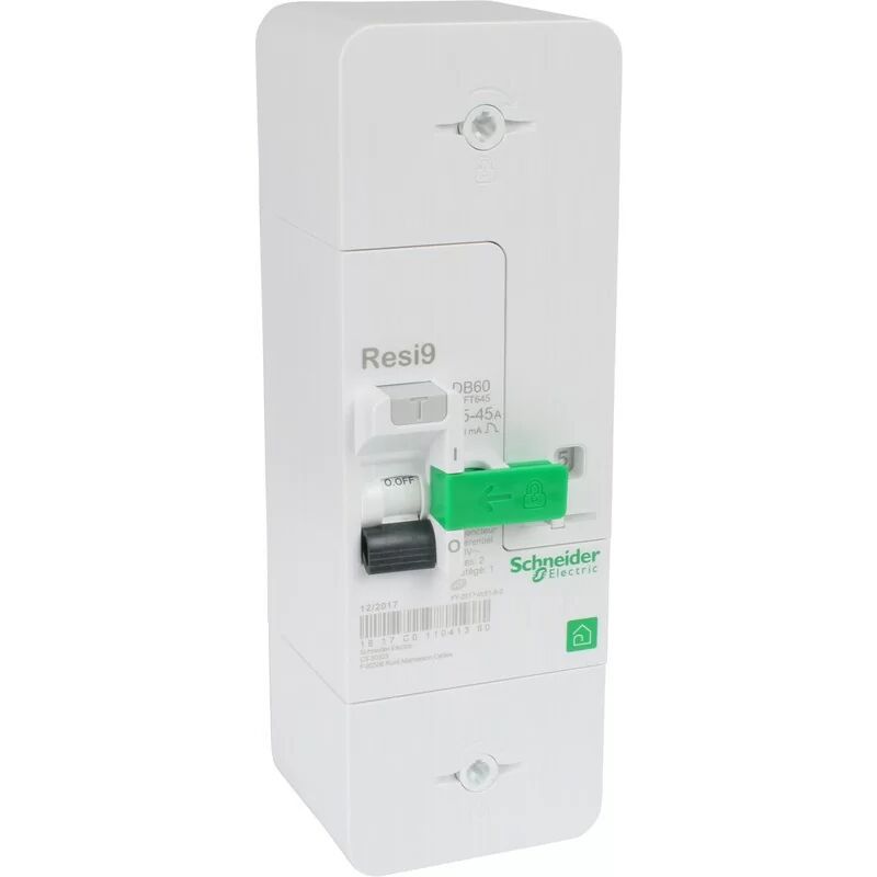 R9E10345 Disjoncteur de branchement DB60 2P 15/45A 500mA Sélectif - Schneider