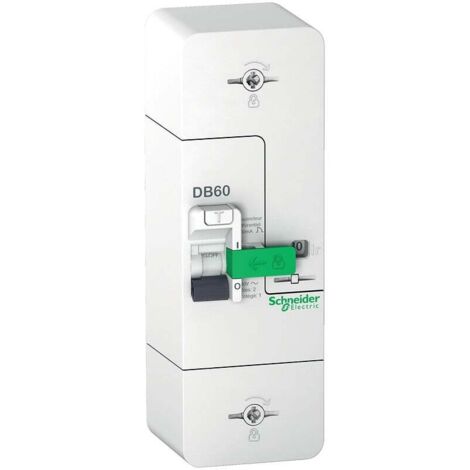 SCHNEIDER ELECTRIC Schneider R9FT645 Anschluss-Leistungsschalter Resi9 DB60 1P+N 500mA 15/30/45A Sofort-Fehlerstromschutzschalter