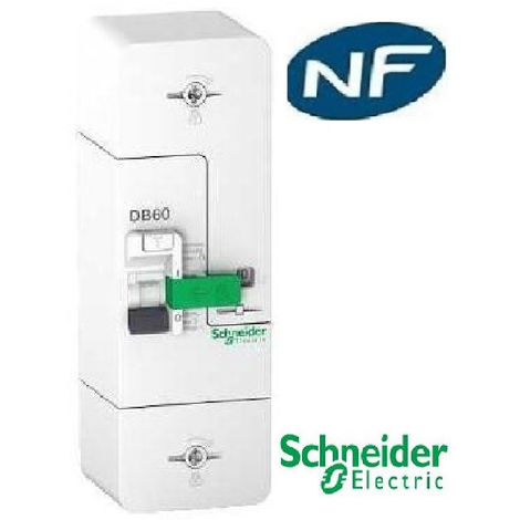 Schneider - Resi9 DB60 - Disjoncteur Branchement - 1P+N - 15/30/45A 500mA - Instantané - Réf : R9FT645