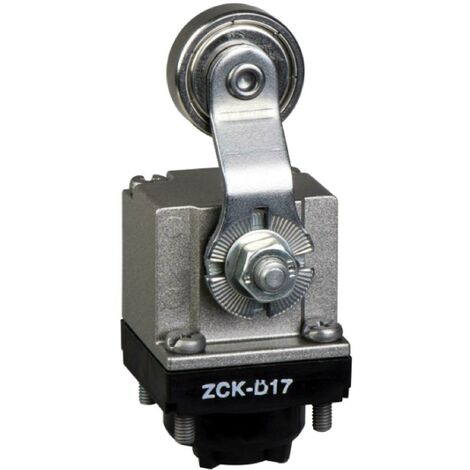 Schneider testa per finecorsa zckd16