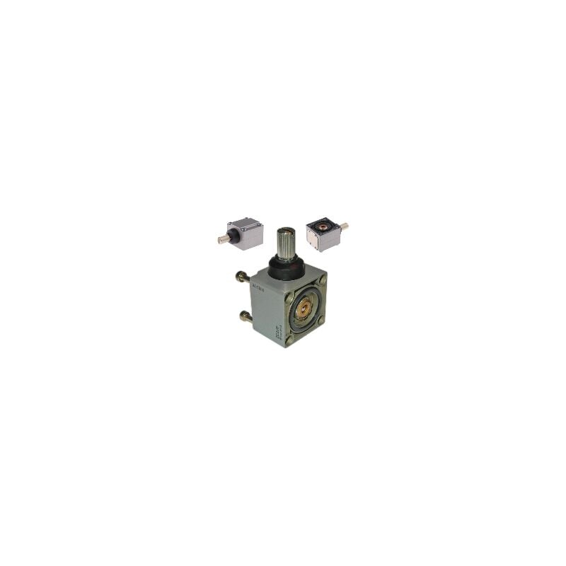 Schneider Electric - Télémécanique - limit switch head ZC2J - without lever spring return left and right actuation - ZC2JE01