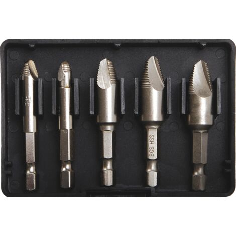 Schraubenausdreher-Satz  5-tlg.