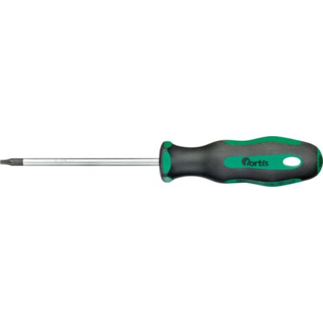 Schraubendreher T15x100mm FORTIS