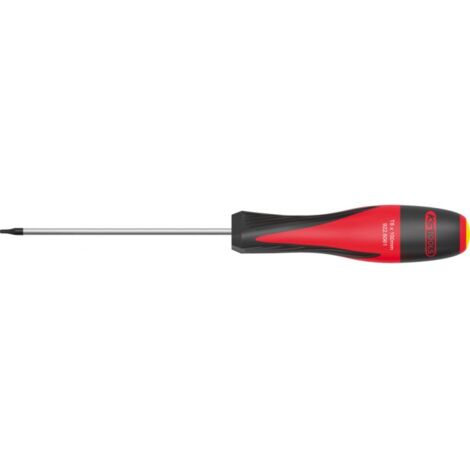 Schraubendreher ULTIMATE TORX® T5 - L.100 mm