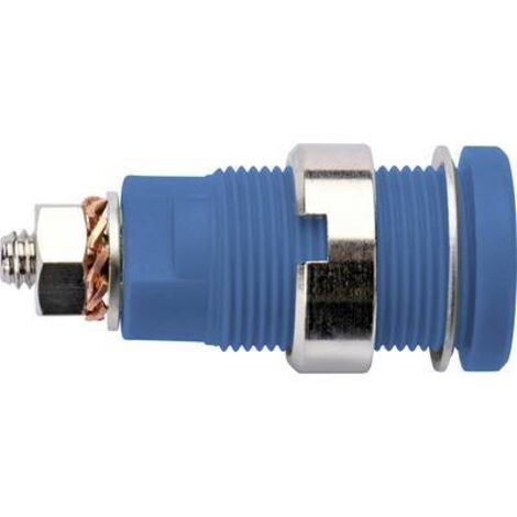 Schützinger DI SEB 6445 Ni / BL Prise encastrée de sécurité bleu 1 pc(s) Y156832