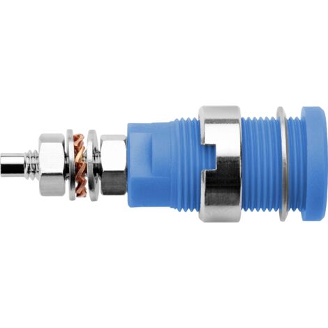 Schützinger DI SEB 6446 Ni / BL Prise encastrée de sécurité bleu 1 pc(s) Y156482