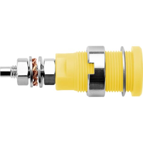Schützinger DI SEB 6446 Ni / GE Prise encastrée de sécurité jaune 1 pc(s) Y156442