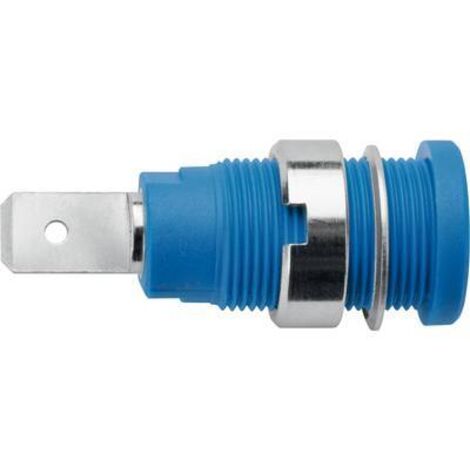 Schützinger DI SEB 6452 Ni / BL Prise encastrée de sécurité bleu 1 pc(s) Y156032