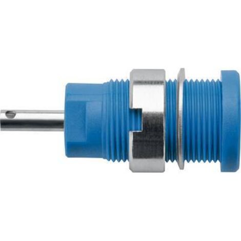 Schützinger DI SEB 6525 Ni / BL Prise encastrée de sécurité bleu 1 pc(s) Y150752