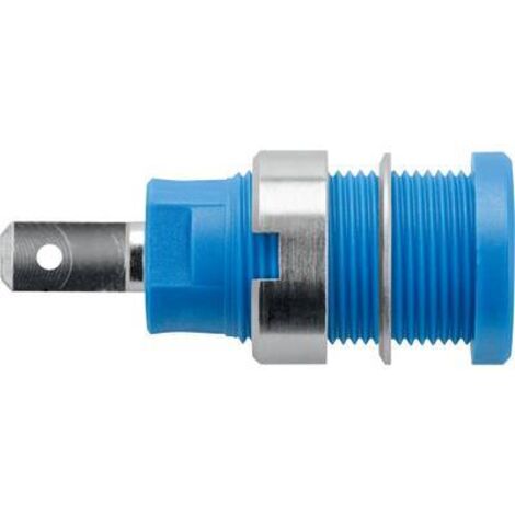 Schützinger DI SEB 7077 Ni / BL Prise encastrée de sécurité bleu 1 pc(s) Y150992
