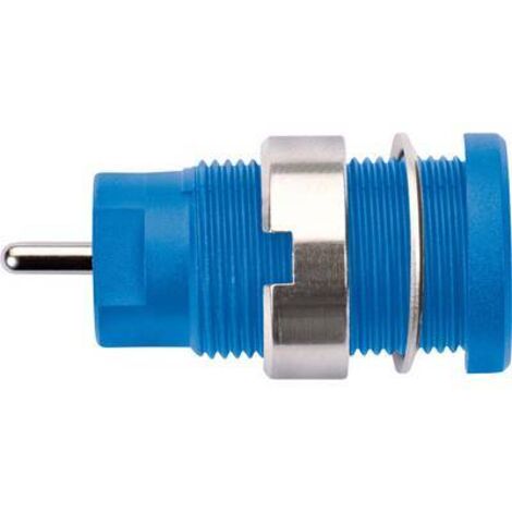 Schützinger DI SEB 8632 Ni / BL Prise encastrée de sécurité bleu 1 pc(s) Y150552