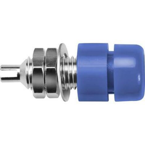 Schützinger IBU 401 Ni / BL Prise encastrée bleu 1 pc(s) Y150852