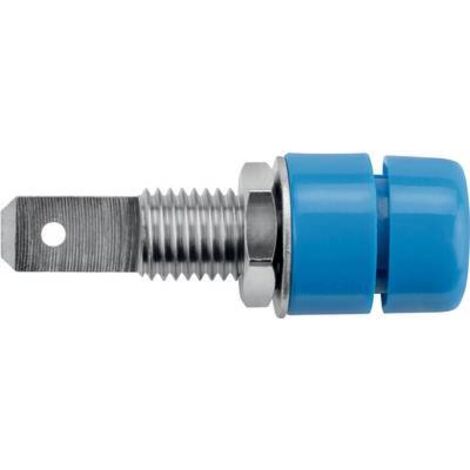 Schützinger IBU 5568 Ni / BL Prise encastrée bleu 1 pc(s) Y150842