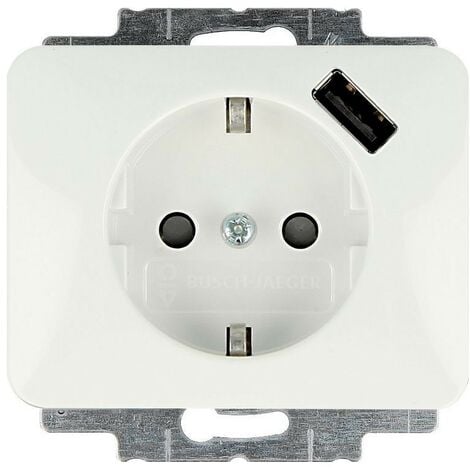 BUSCH-JAEGER ELEKTRO Busch-Jaeger Schuko/USB-Steckdose 20 EUCBUSB-24G