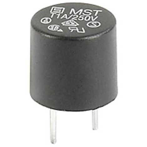 Schurter 0034.6605 0034.6605 Mini-fusible 0.10 A 250 V/AC temporisé -T- 10 pc(s) Q383963