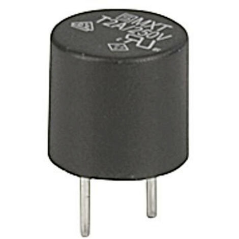 Schurter 0034.6925 0034.6925 Mini-fusible 10.00 A 250 V/AC temporisé -T- 1 pc(s)