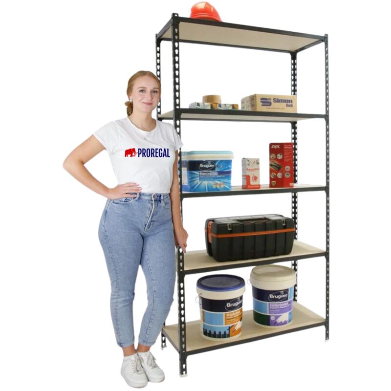 Proregal-zertifizierte Qualitätsprodukte - tagère pour charges lourdes big muli HxLxP 200x120x50cm 5 étagères Charge du compartiment 200kg anthracite