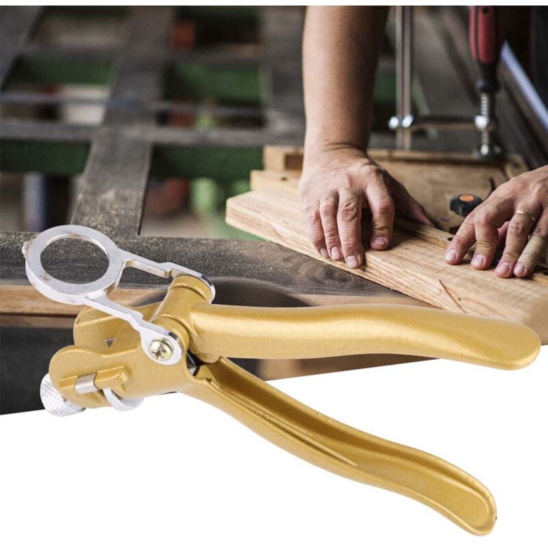 Scie à ruban pour le travail du bois, cueilleur de lame, pince de scie (avec loupe)