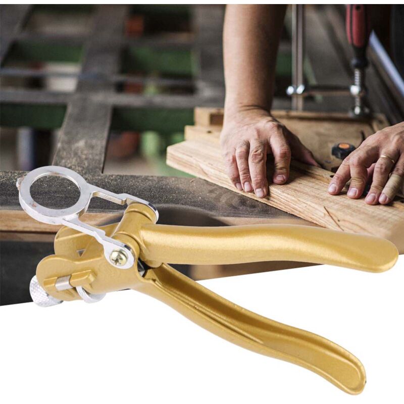 Scie à ruban pour le travail du bois, cueilleur de lame, pince de scie (avec loupe)