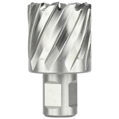 Scie cloche Ecef 3001330 13x30 mm