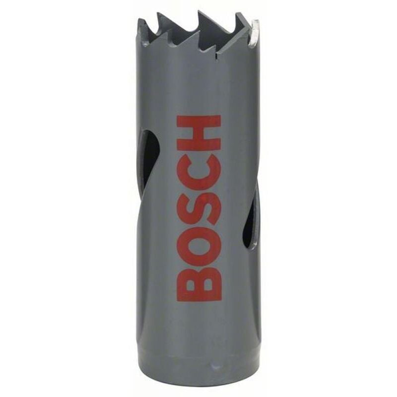Bosch - Scie-trépan hss bimétal à filetage standard diamètre 19 mm
