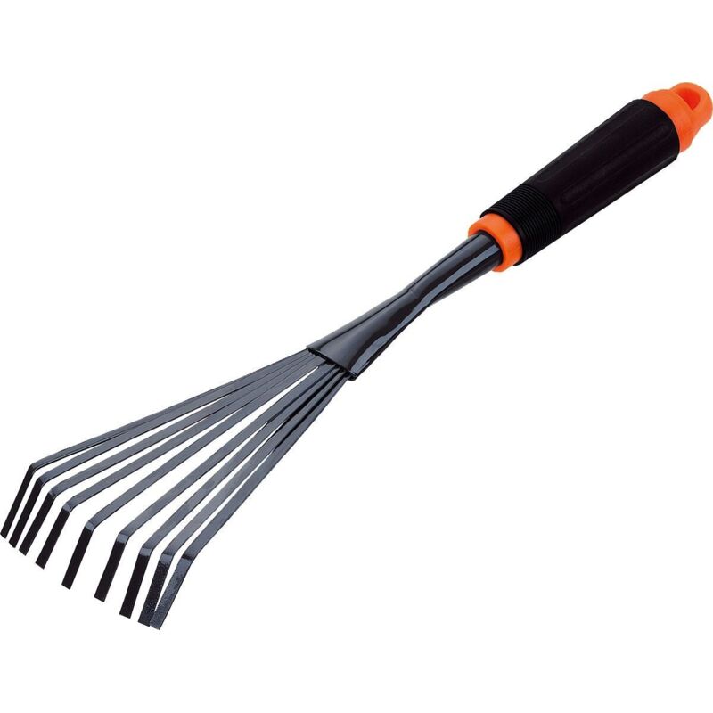 Una immagine