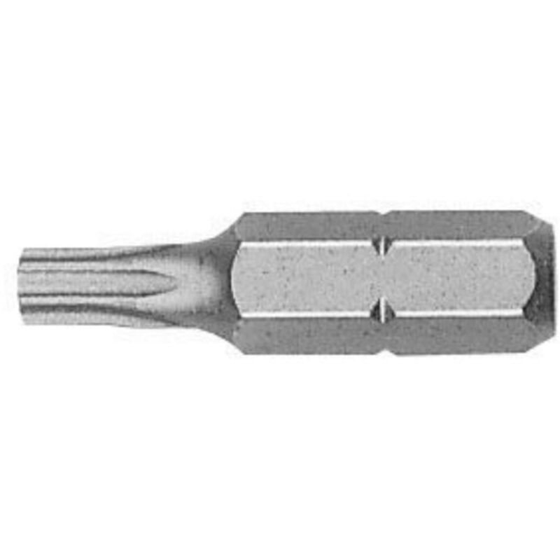 Witte - 429482 - Screwdriver tips in plastic box - Length 25 mm - TS 20 - 5 units.