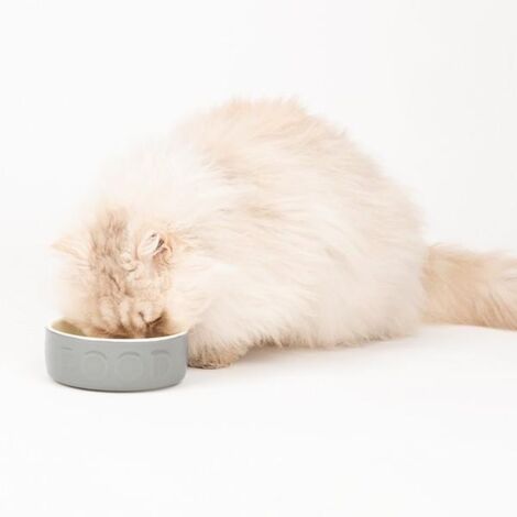 Scruffs Classic Food Bowl 15cm - PK 6 - 267786