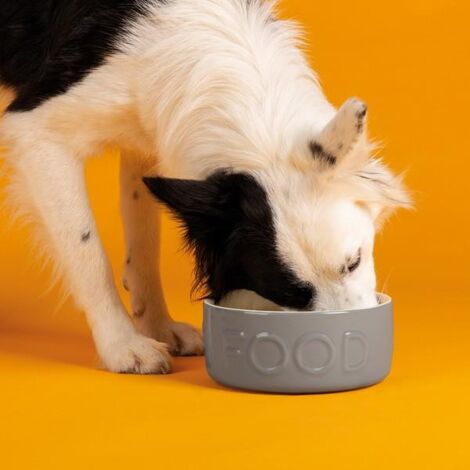 Scruffs Classic Food Bowl 25cm - PK 4 - 267784