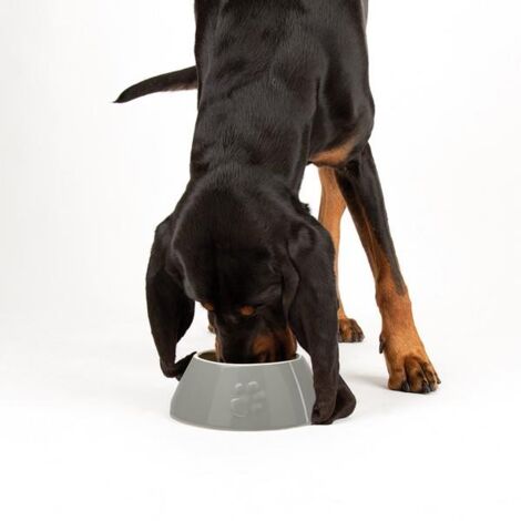Scruffs Classic Long Ear Pet Bowl - PK 4 - 267789